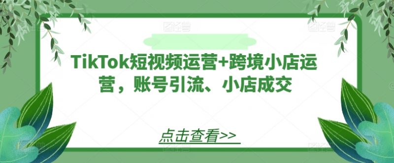 TikTok短视频运营+跨境小店运营，账号引流、小店成交网赚项目-副业赚钱-互联网创业-资源整合小白项目资源网