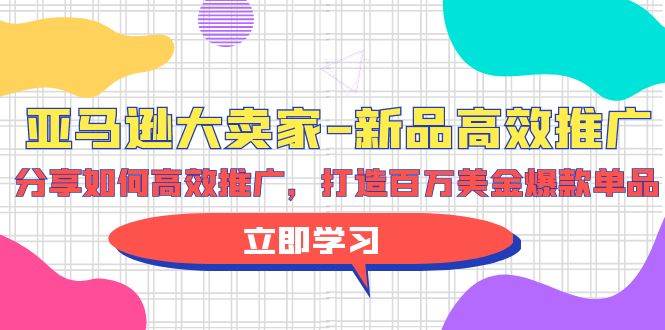 亚马逊 大卖家-新品高效推广,分享如何高效推广,打造百万美金爆款单品网赚项目-副业赚钱-互联网创业-资源整合小白项目资源网