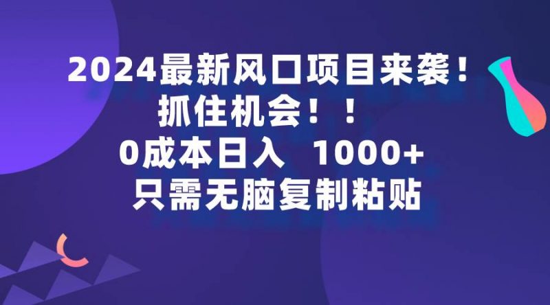 2024最新风口项目来袭，抓住机会，0成本一部手机日入1000+，只需无脑复...网赚项目-副业赚钱-互联网创业-资源整合小白项目资源网