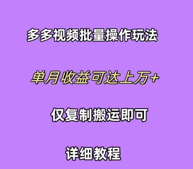 拼多多视频带货快速过爆款选品教程 每天轻轻松松赚取三位数佣金 小白必...网赚项目-副业赚钱-互联网创业-资源整合小白项目资源网